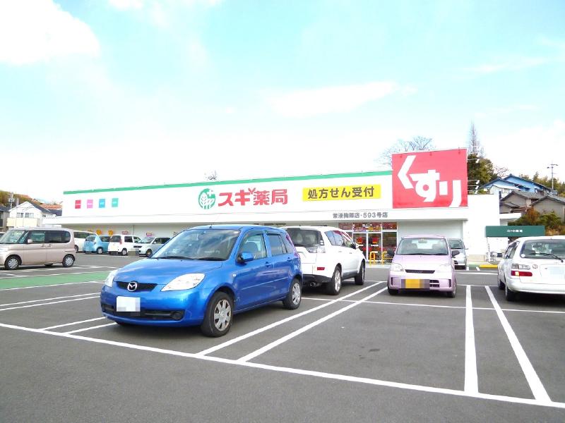 スギ薬局市場店