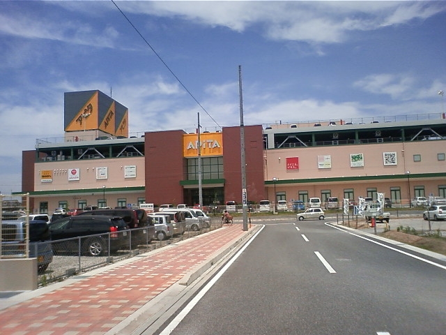 アピタ安城南店