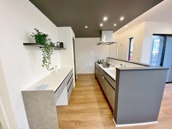 新築一戸建て 名古屋市守山区城土町22番 ガイドウェイバス志段味線白沢渓谷駅 4,680万円