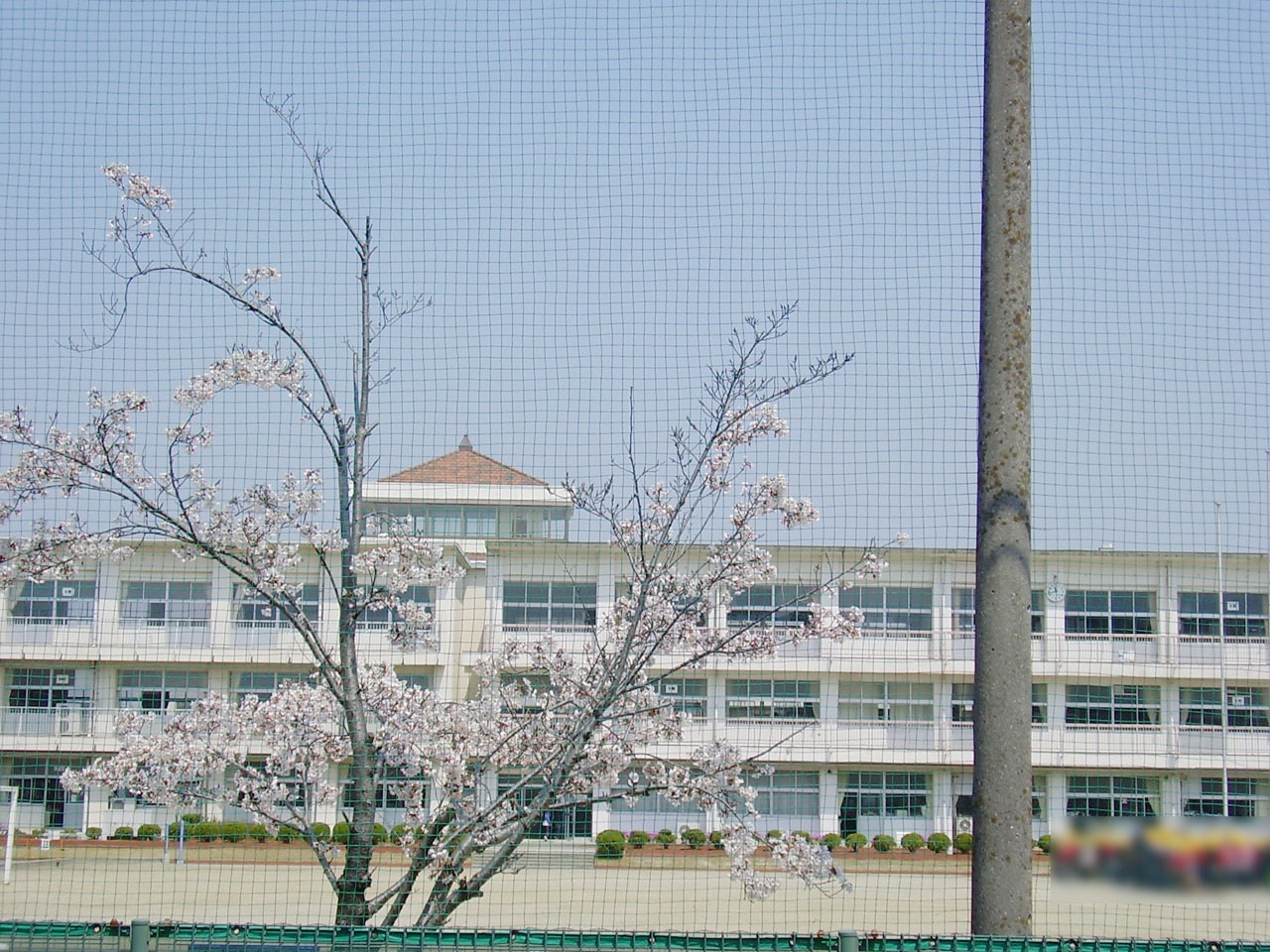 弥富市立桜小学校