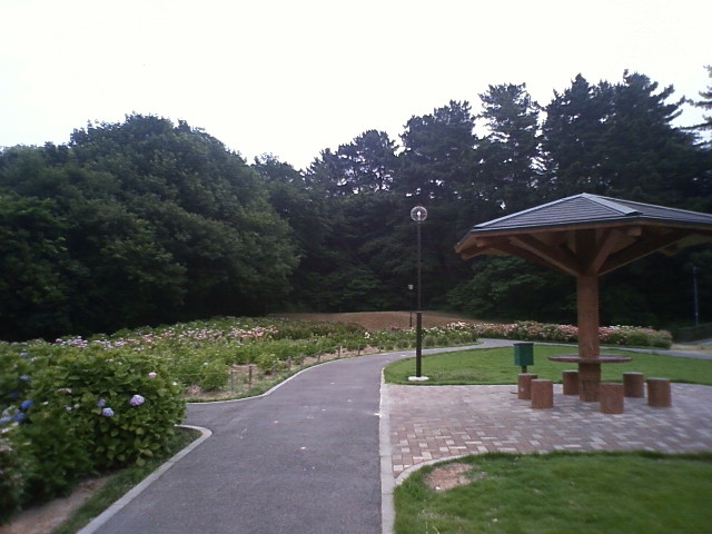 上野台公園