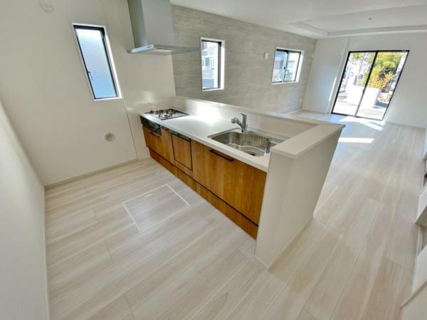 新築一戸建て 名古屋市南区元桜田町４丁目63番 名古屋市桜通線鶴里駅 5,199万円