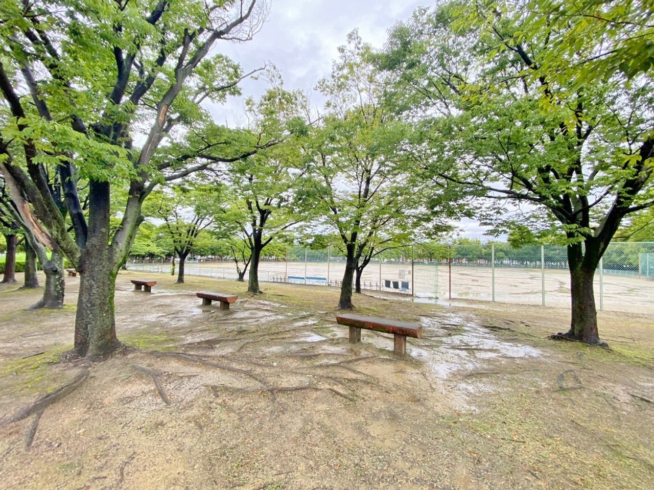 瑞穂公園