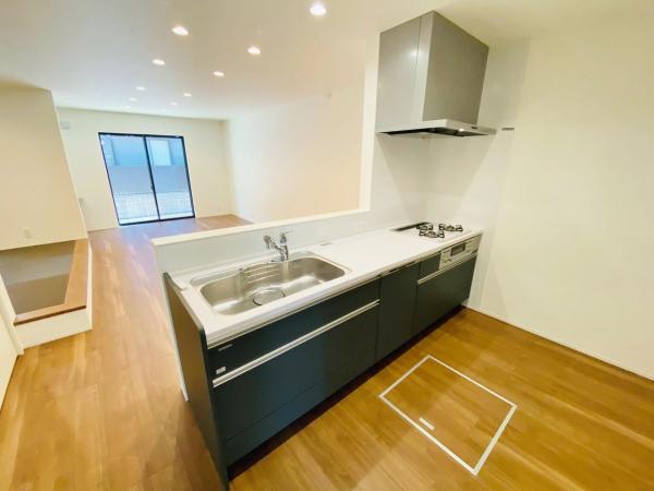 新築一戸建て 名古屋市瑞穂区白砂町２丁目24番5 名古屋市名城線瑞穂運動場東駅 4,890万円