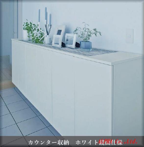 新築戸建 中野区東中野2丁目 都営大江戸線東中野駅 1億1,980万円