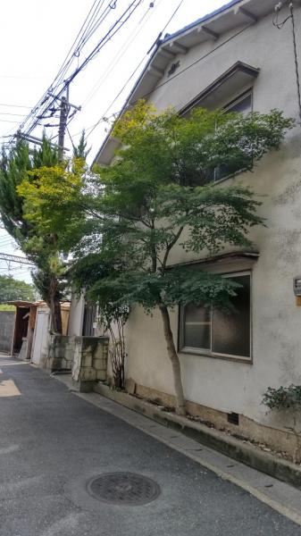 中古戸建 京都市伏見区桃山町金井戸島 京阪本線中書島駅 1,080万円