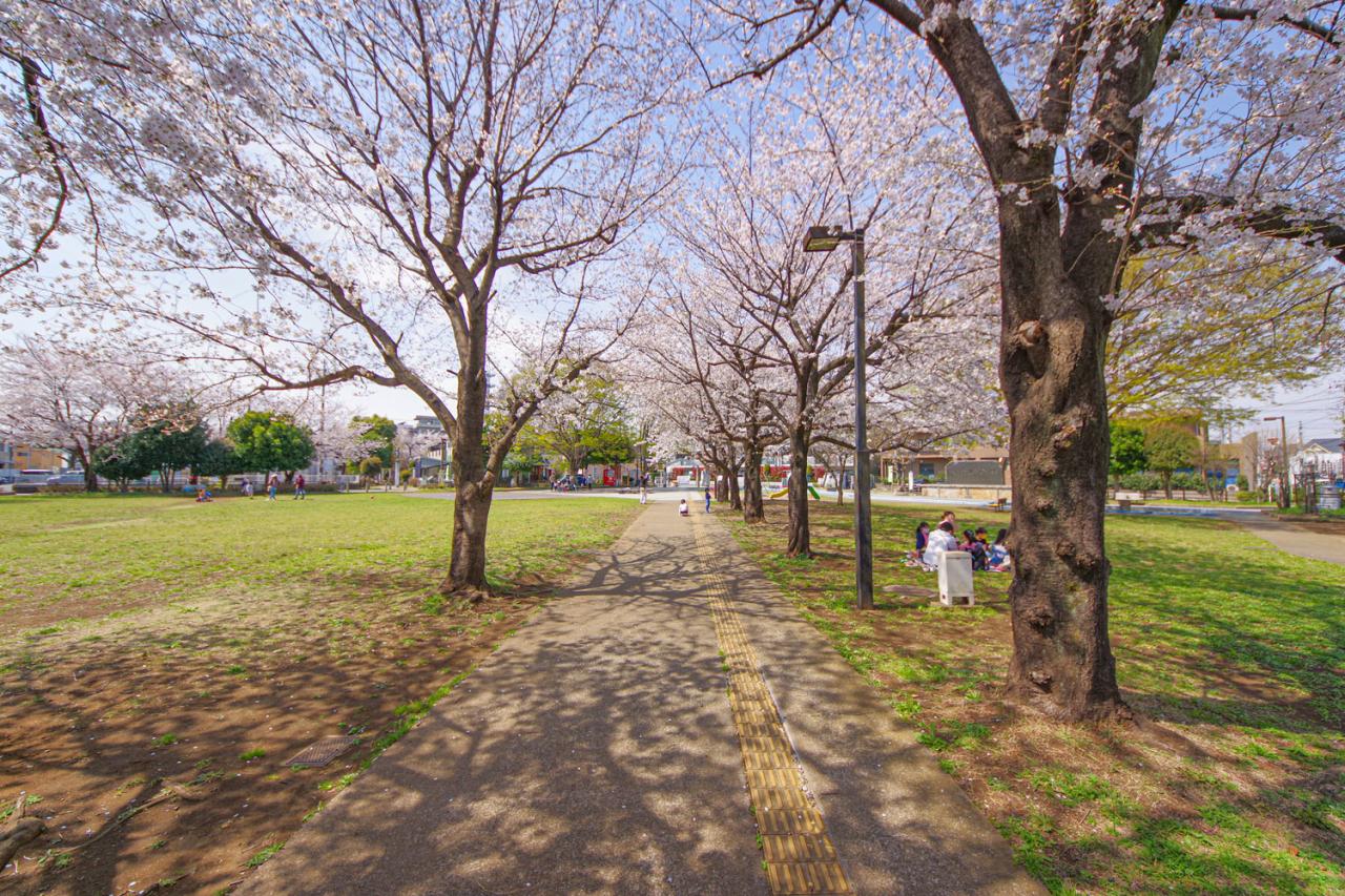 亀久保中央公園