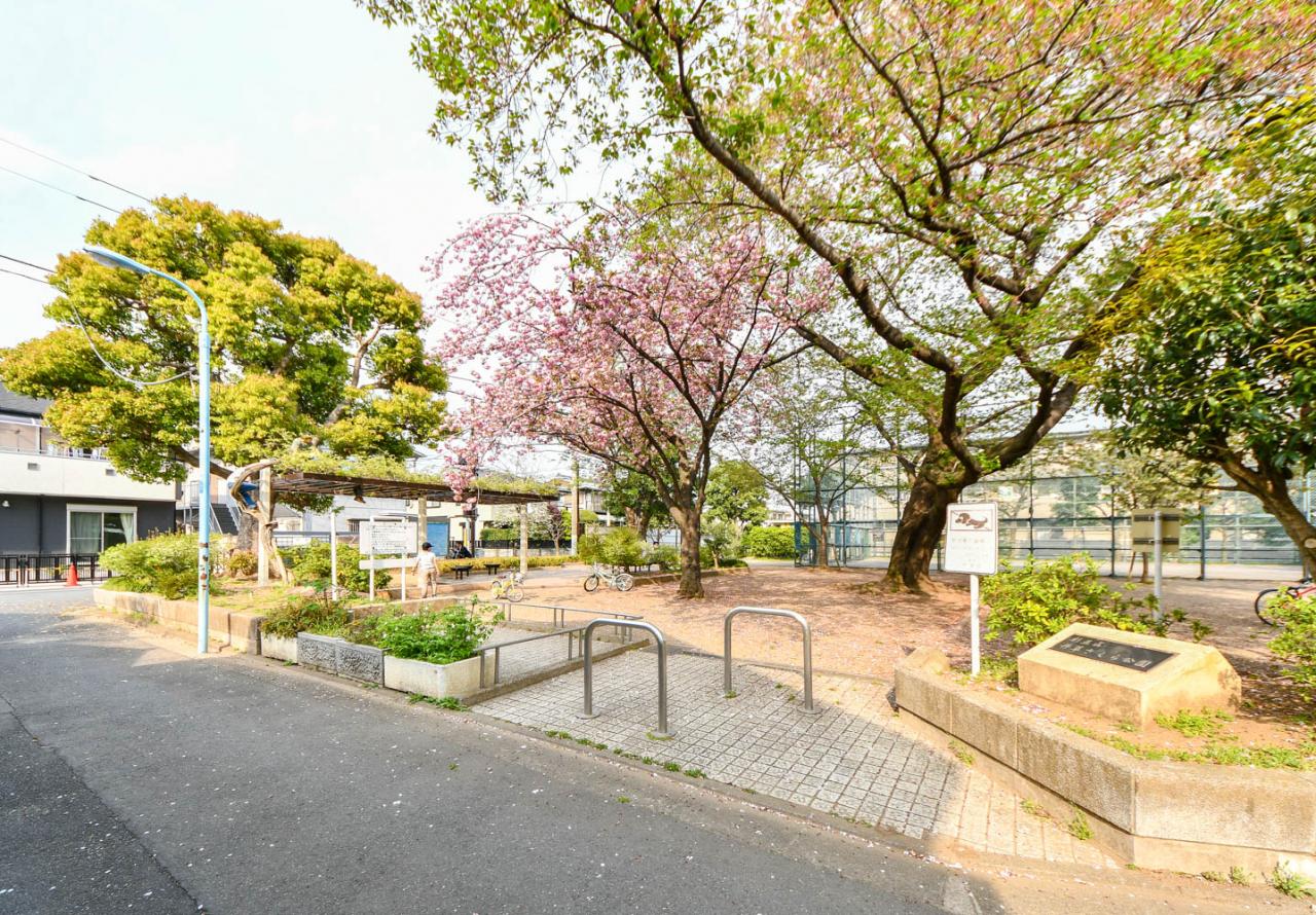 井草さくら公園