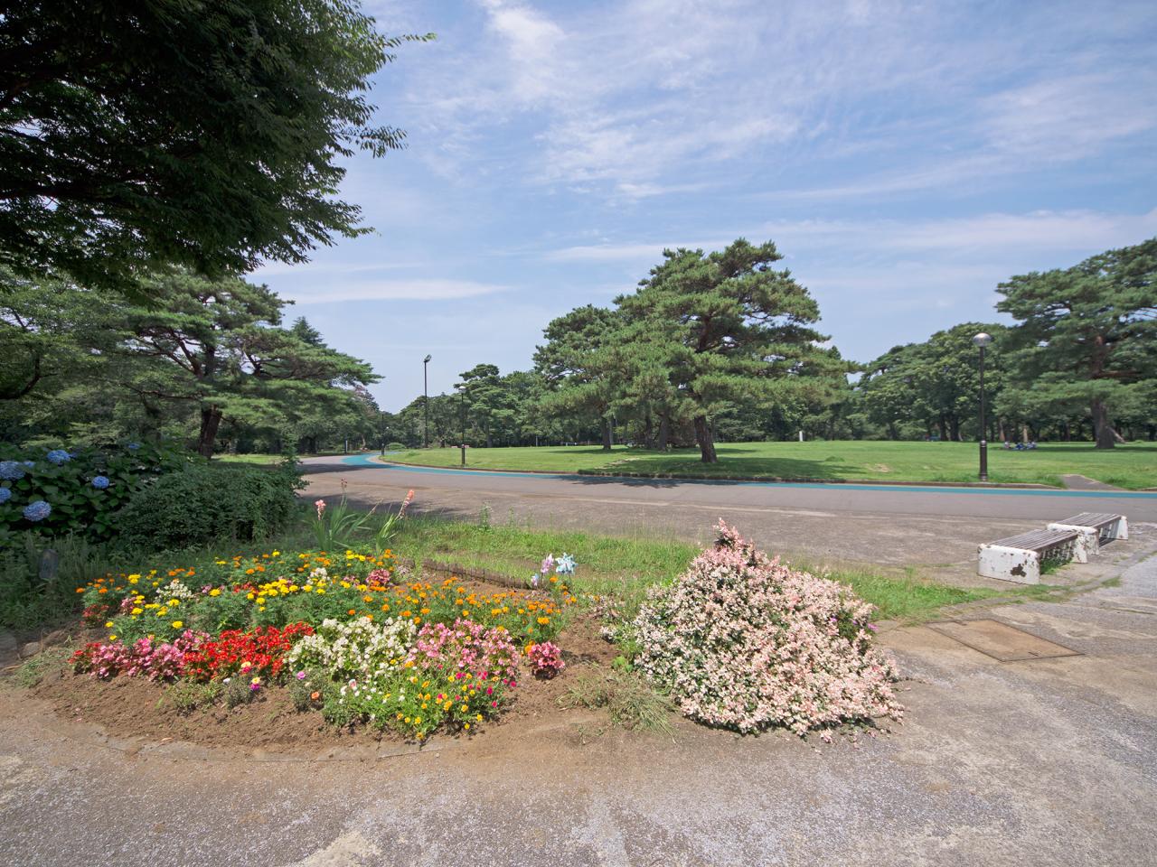 狭山稲荷山公園