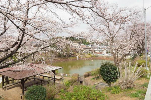 八津池公園