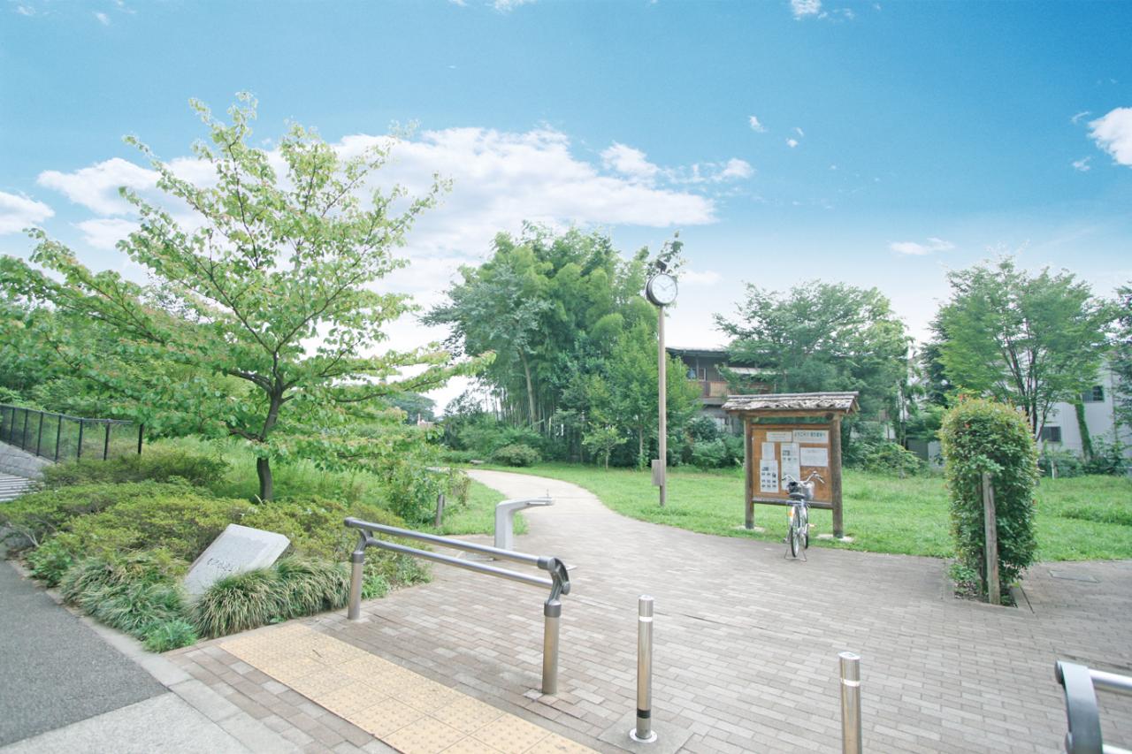 南沢水辺公園