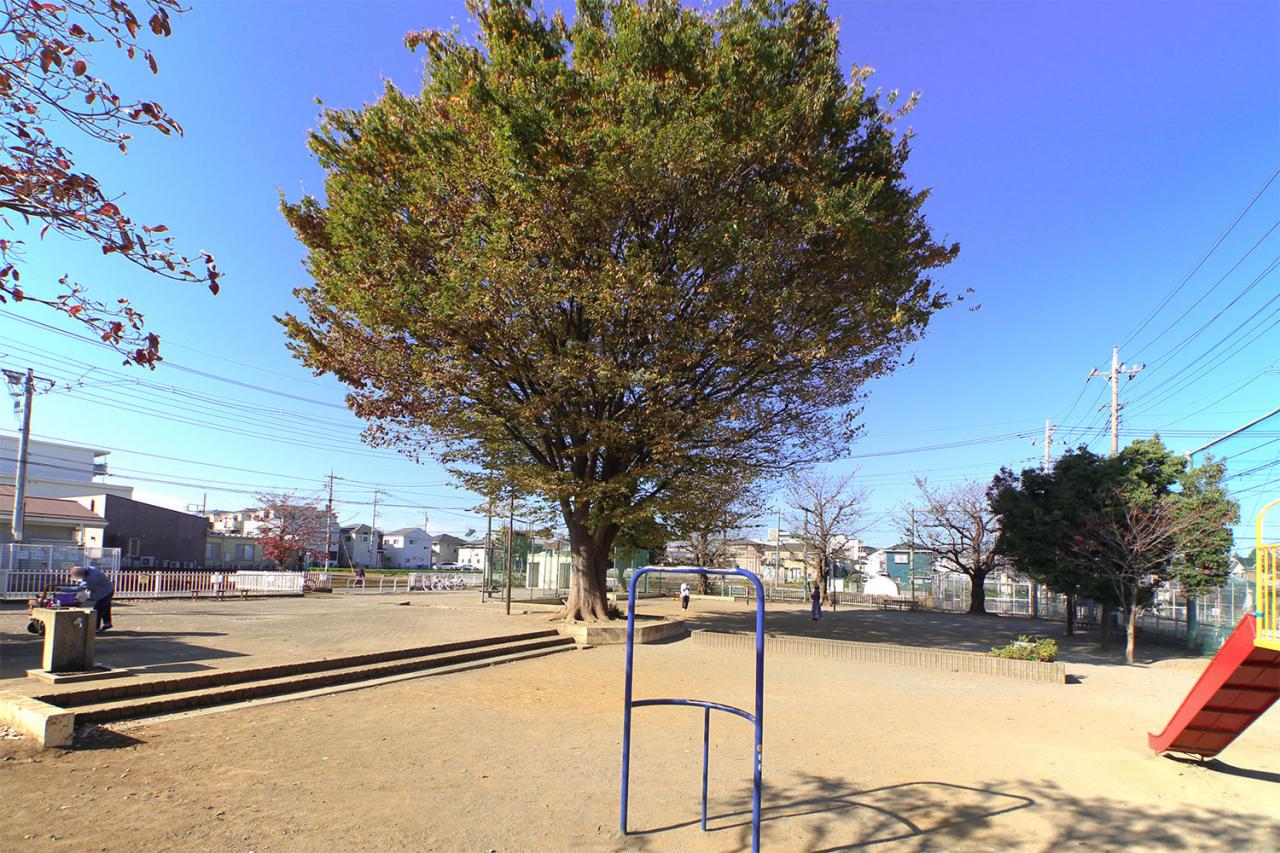 上東公園