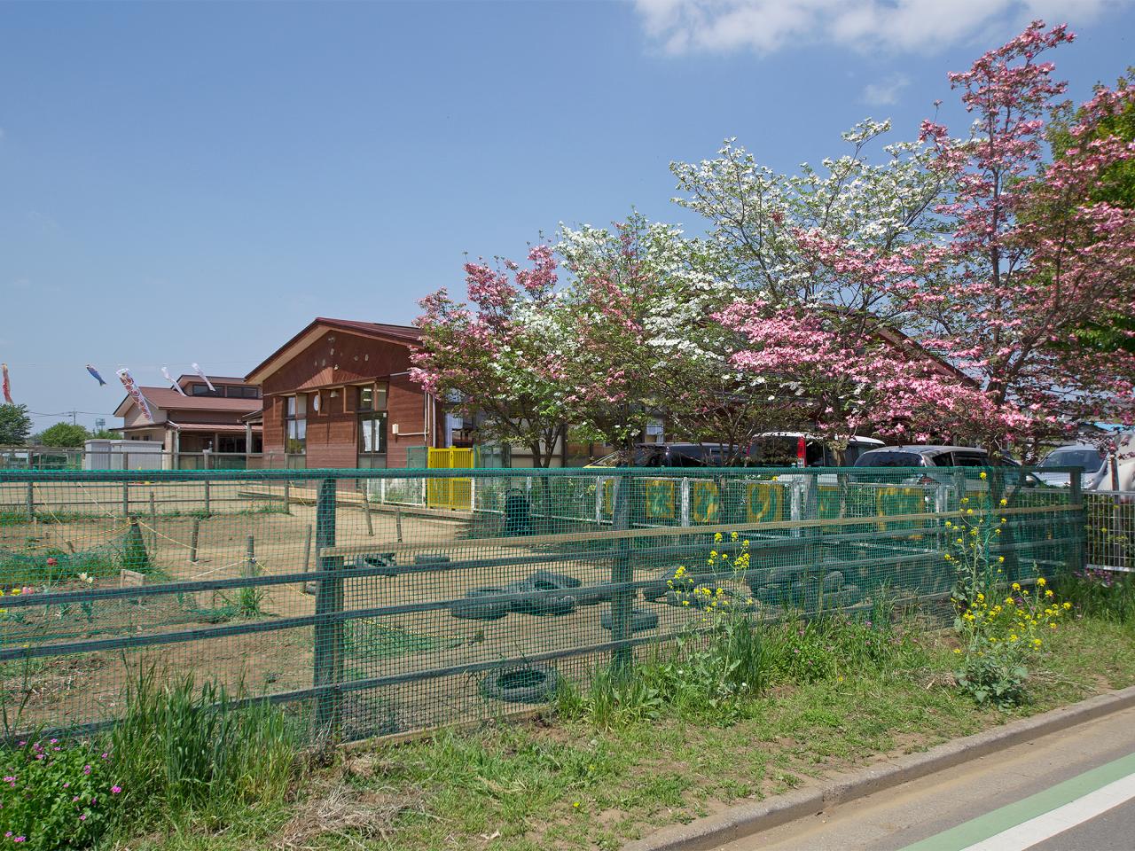 ひまわり保育園