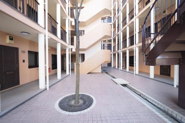 ライオンズマンション若葉　2階 