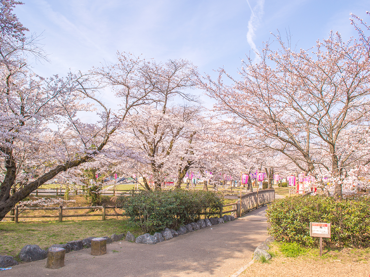 飯能市中央公園