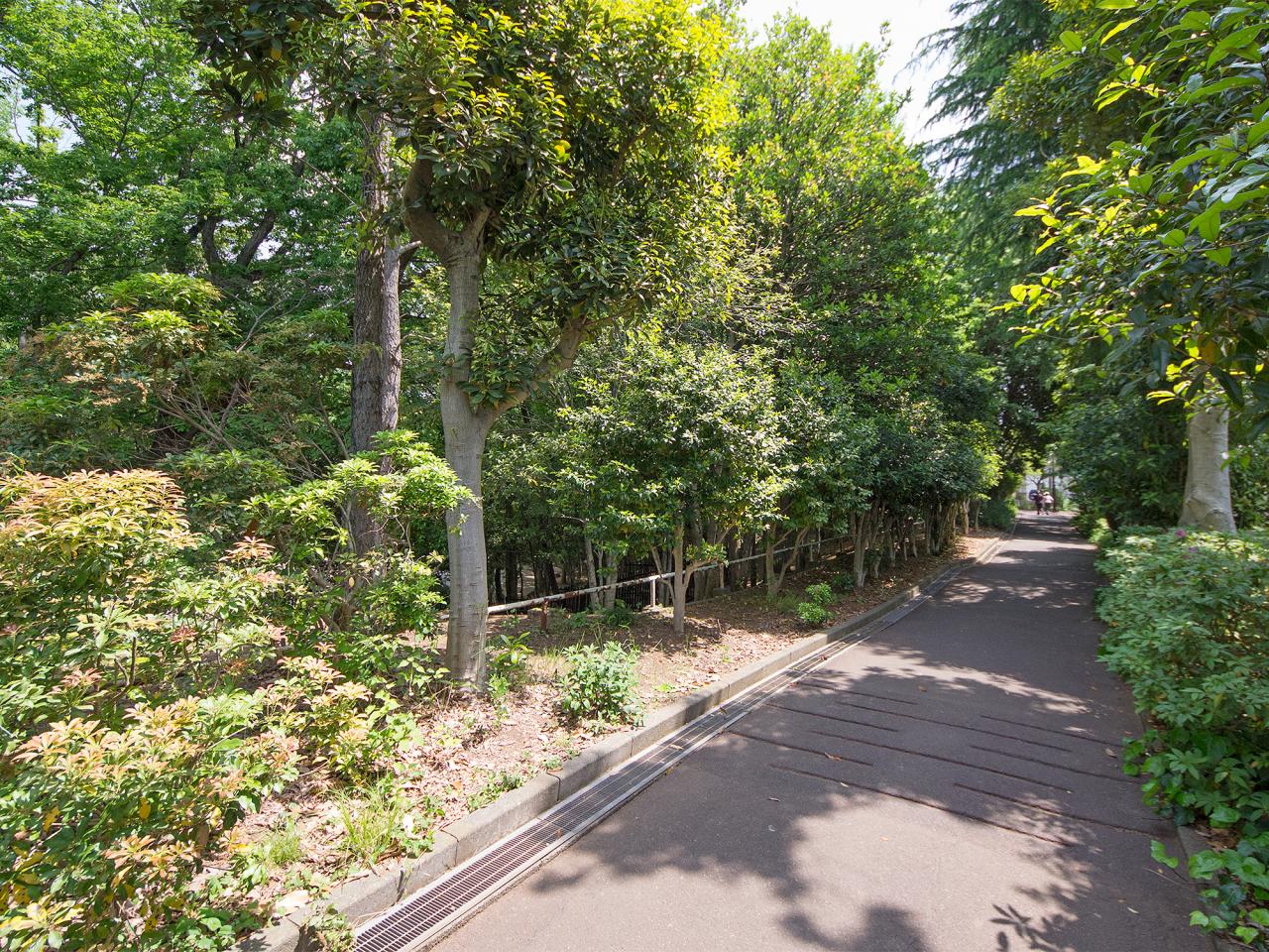 椿峰中央公園