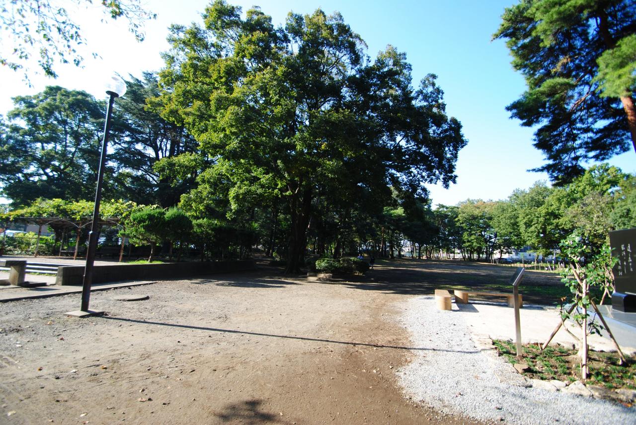 清瀬中央公園入口