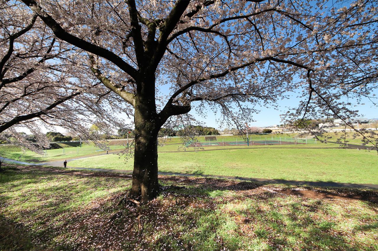 入曽多目的広場内公園