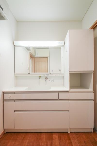 練馬区田柄4丁目　中古一戸建て 洗面化粧台