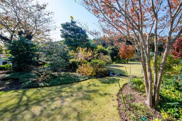 入間市高倉３丁目　中古一戸建て 庭