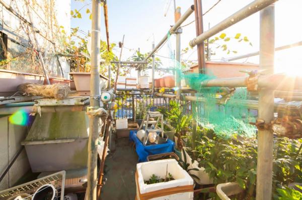 【角地／ガレージ／屋上2か所】新座市栄5丁目　中古一戸建て その他内観