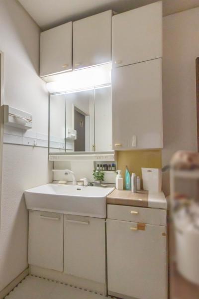 【角地／ガレージ／屋上2か所】新座市栄5丁目　中古一戸建て 洗面化粧台