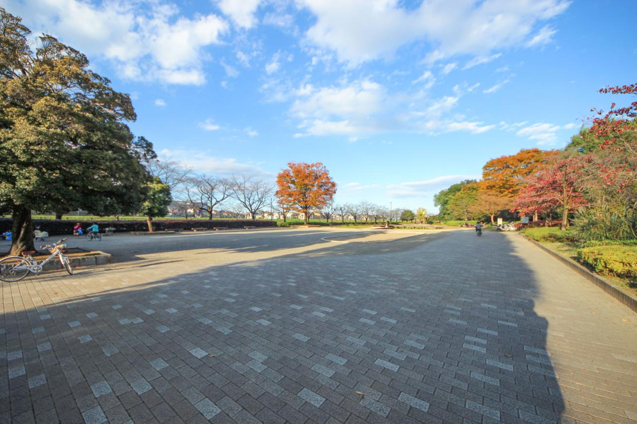 せせらぎ菖蒲園