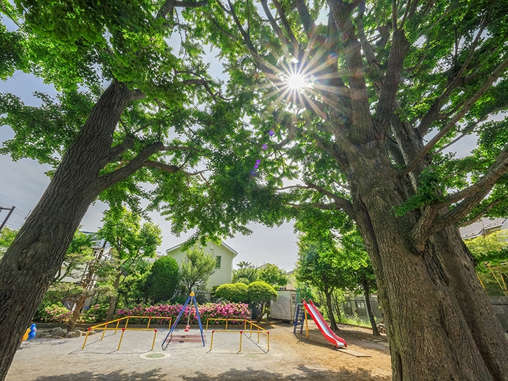 練馬区立大泉風致地区公園