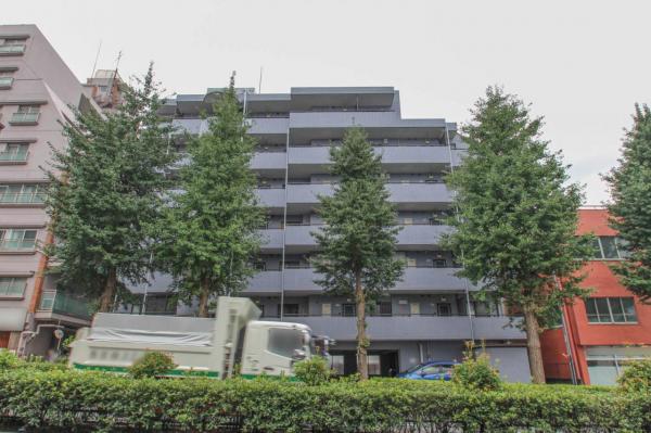 セザール上板橋　5階 外観写真