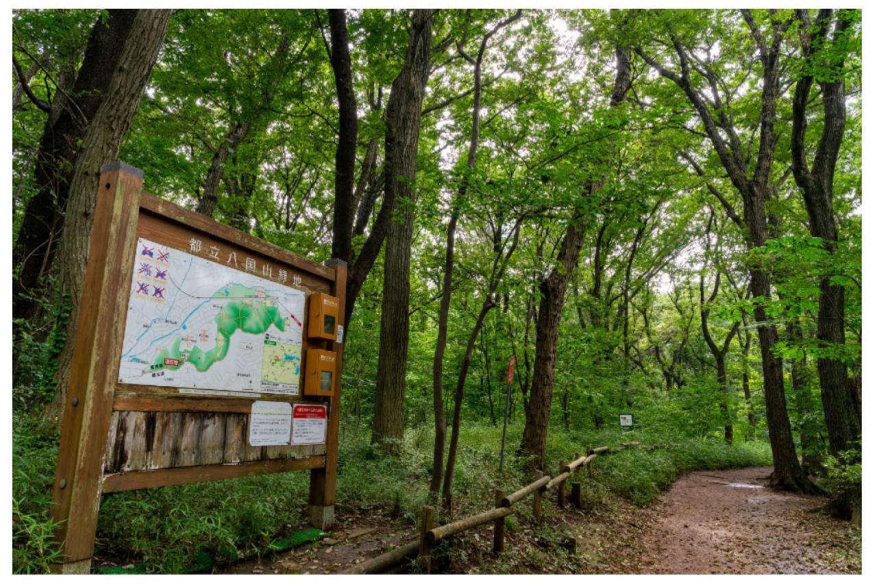 都立八国山緑地入口