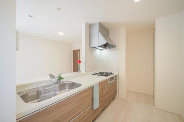 【駅徒歩15分・LDK19.5帖】富士見市渡戸3丁目　新築一戸建て キッチン