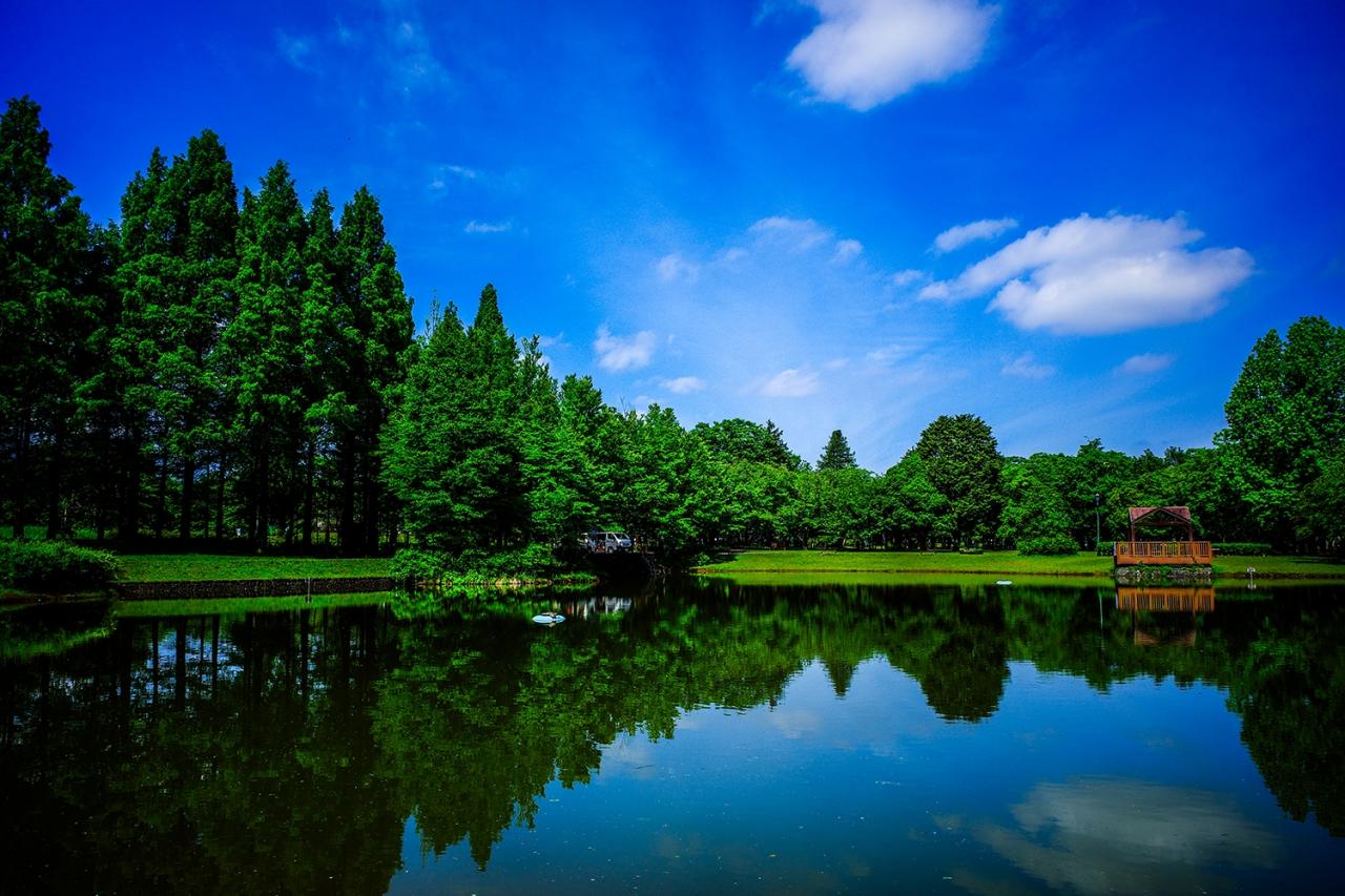 彩の森 入間公園