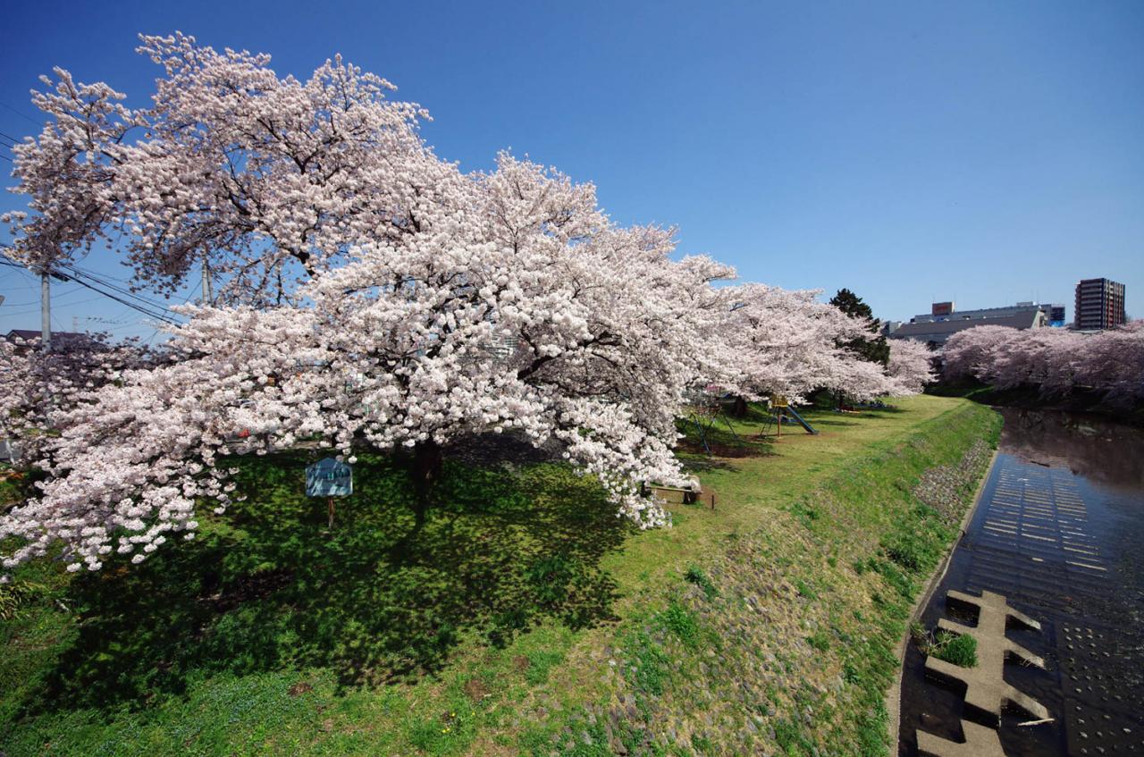 豊高橋公園