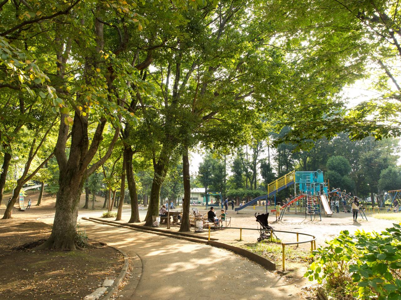 富士見公園