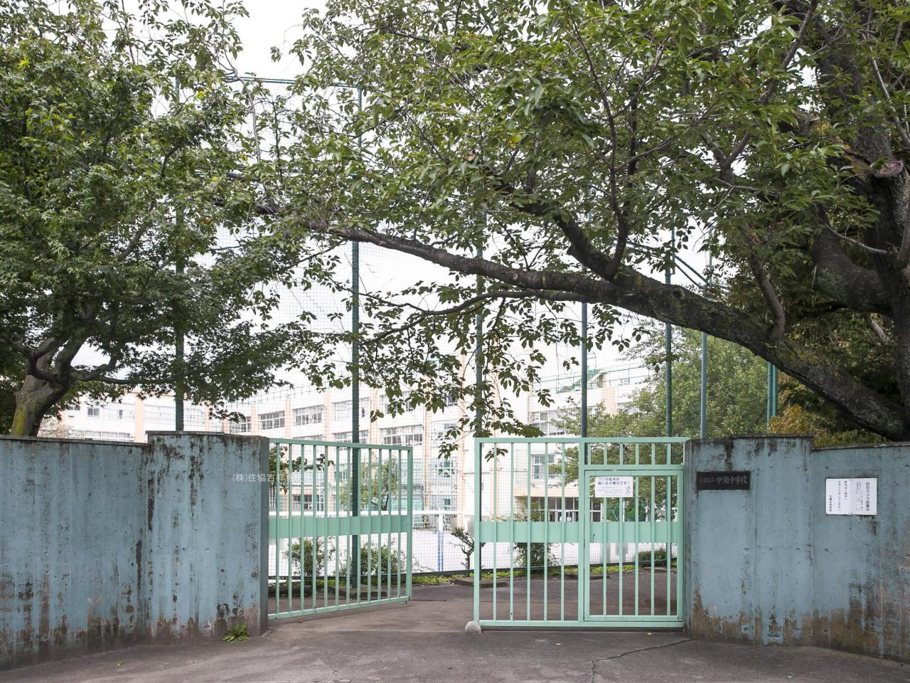 杉並区立中瀬中学校