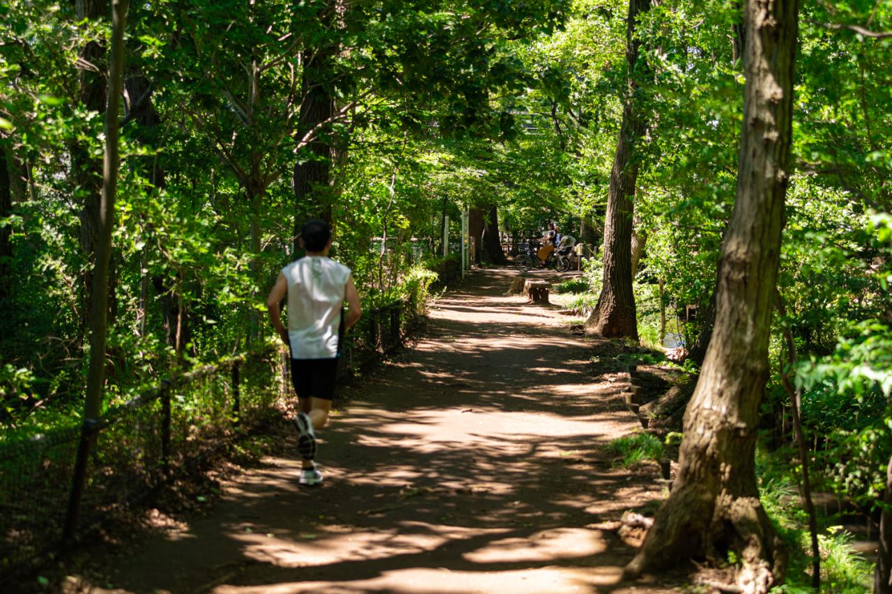 玉川上水緑道