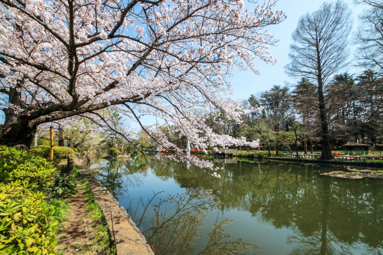 東京都立石神井公園