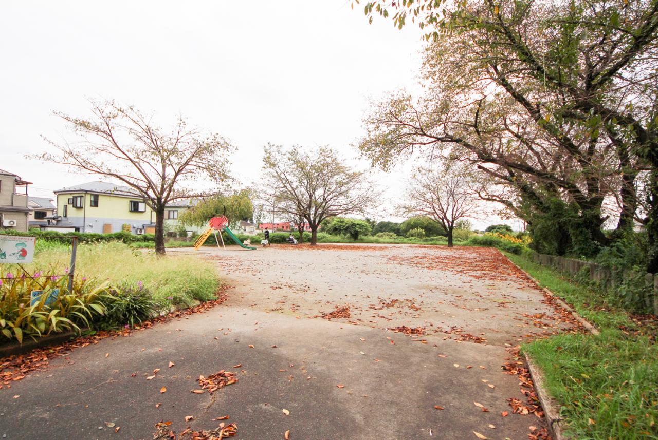 金子中央けやき公園