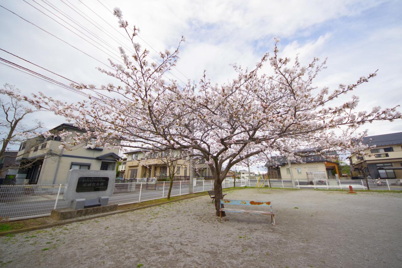 恵花前第一公園