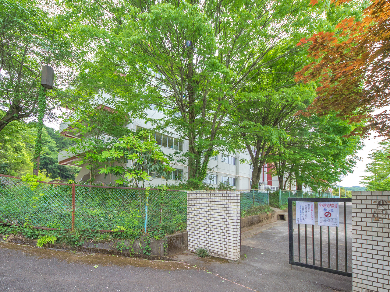 日高市立高麗小中学校