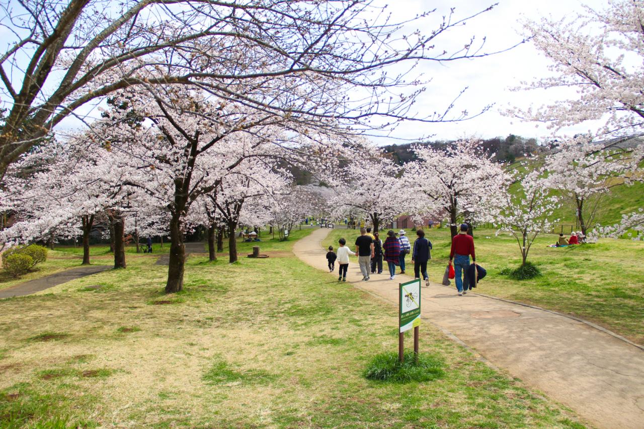 都立狭山公園