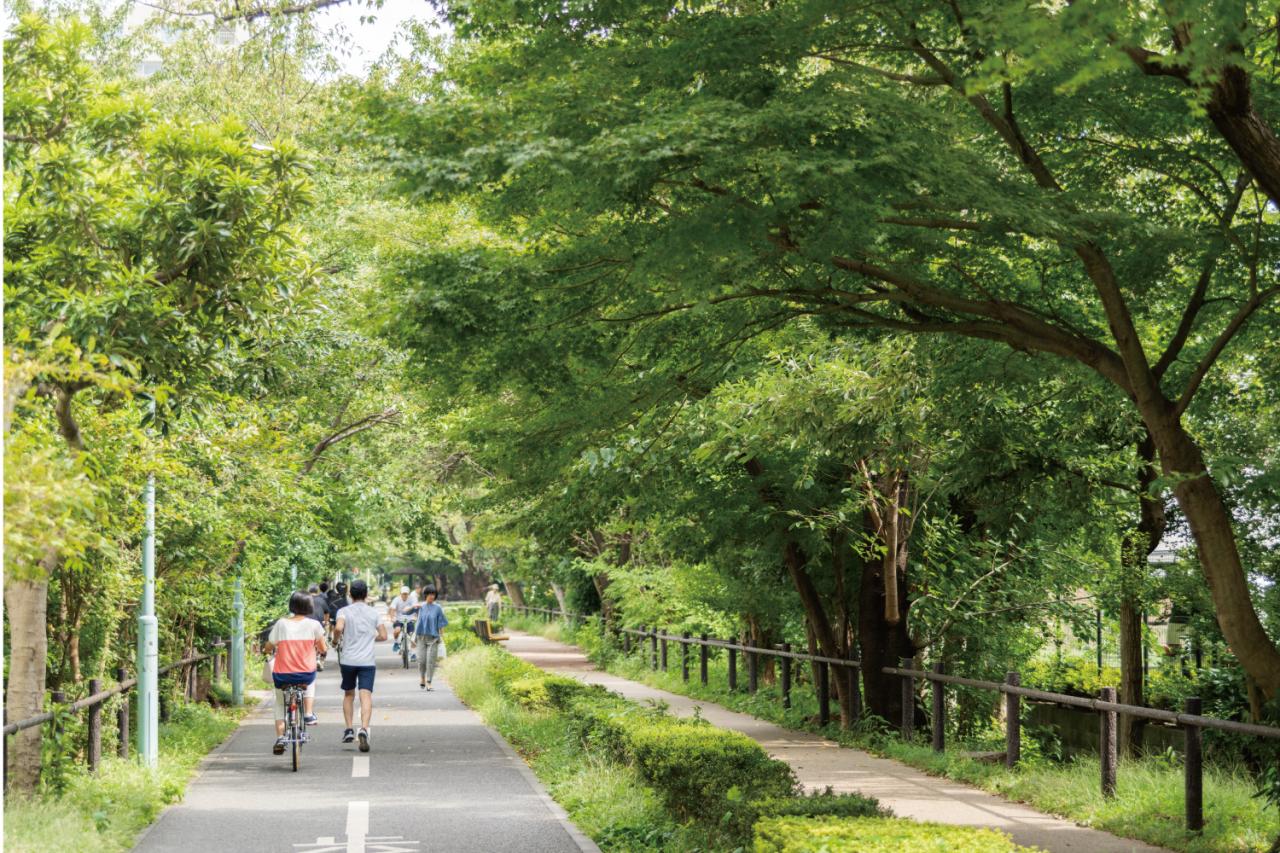 多摩湖自転車道