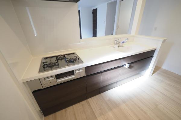 所沢市西狭山ケ丘1丁目　新築一戸建て キッチン