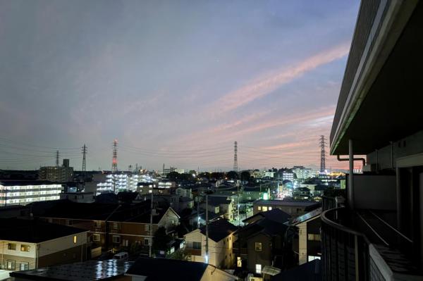 【新価格】クリスタルパレス川越 眺望