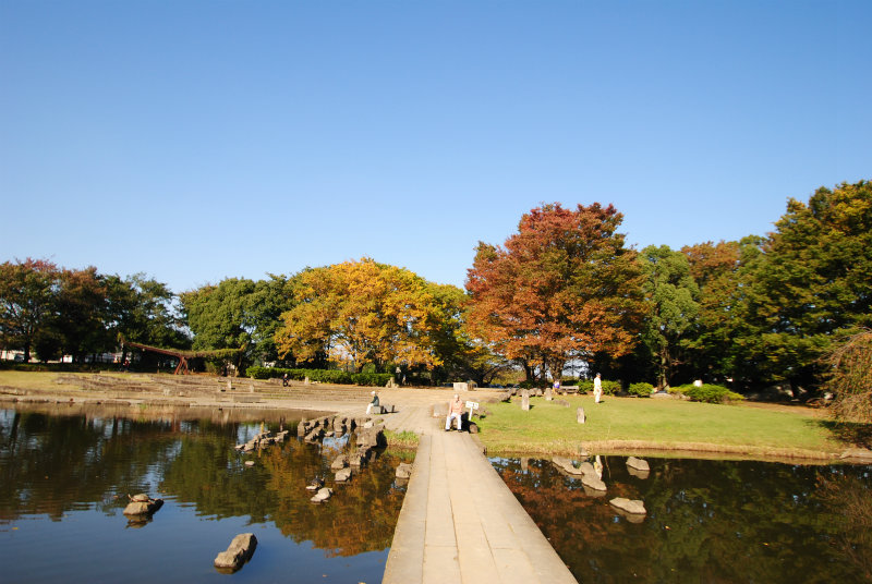 清瀬金山緑地公園