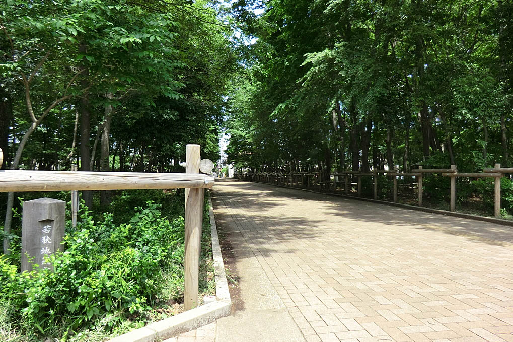 若狭山の神市民の森