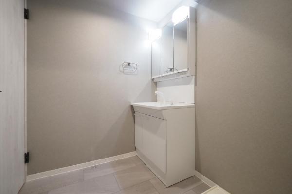 パレドール東所沢2 洗面化粧台