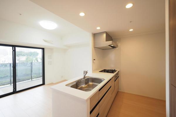 プレシス所沢元町　2階 キッチン