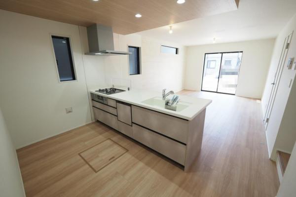 入間市大字下藤沢　新築一戸建て (現況)外観写真