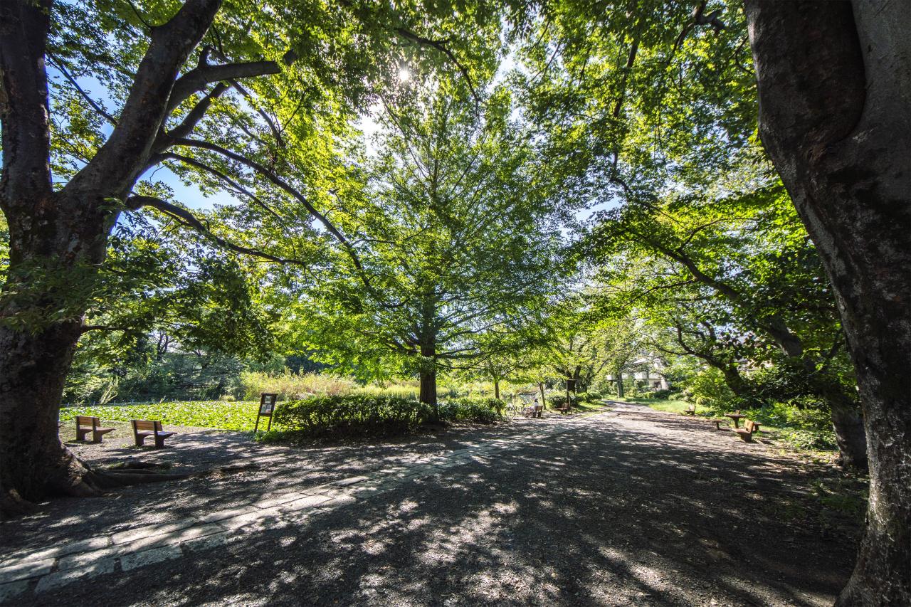 東京都立 善福寺公園